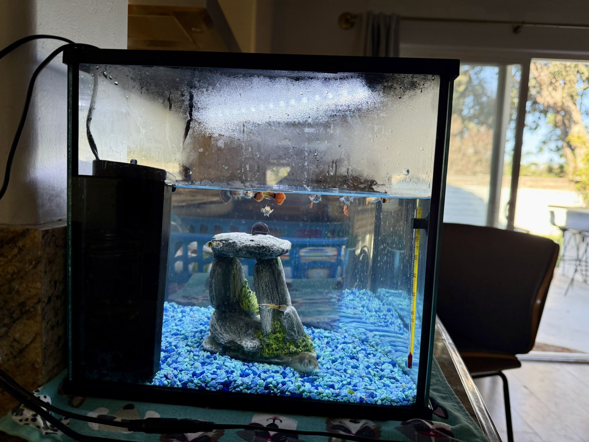 Corner Fish Tank 