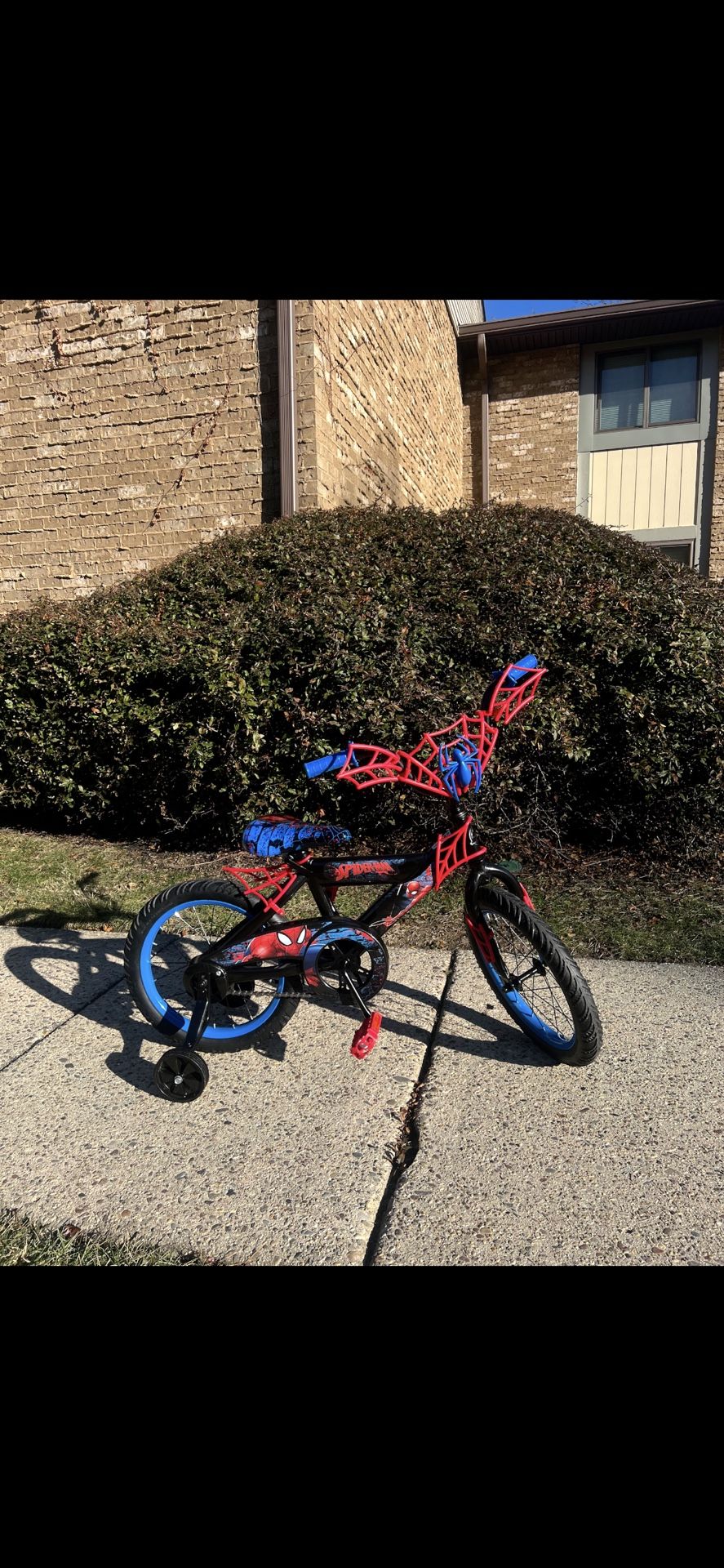 Spider Man Kids Bike