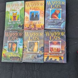 Warrior Cats Book Set 