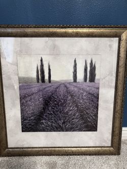 Lavender Fields Framed Art