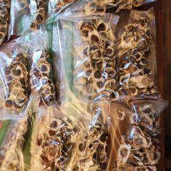 MORINGA SEEDS
