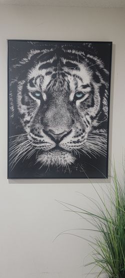 TIGER FRAME