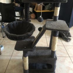 Cat Climber 