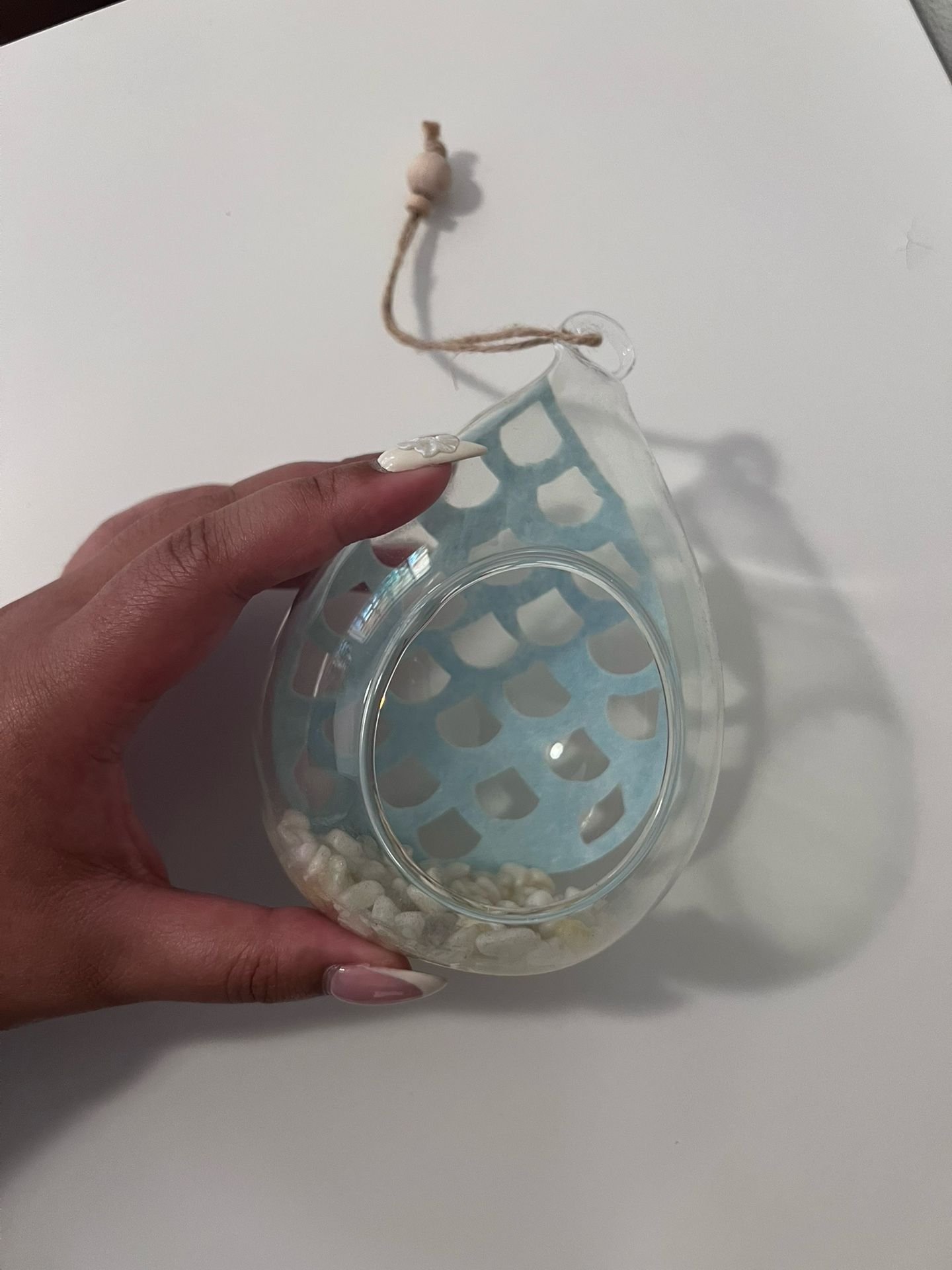 Air Plant Hanging Holder