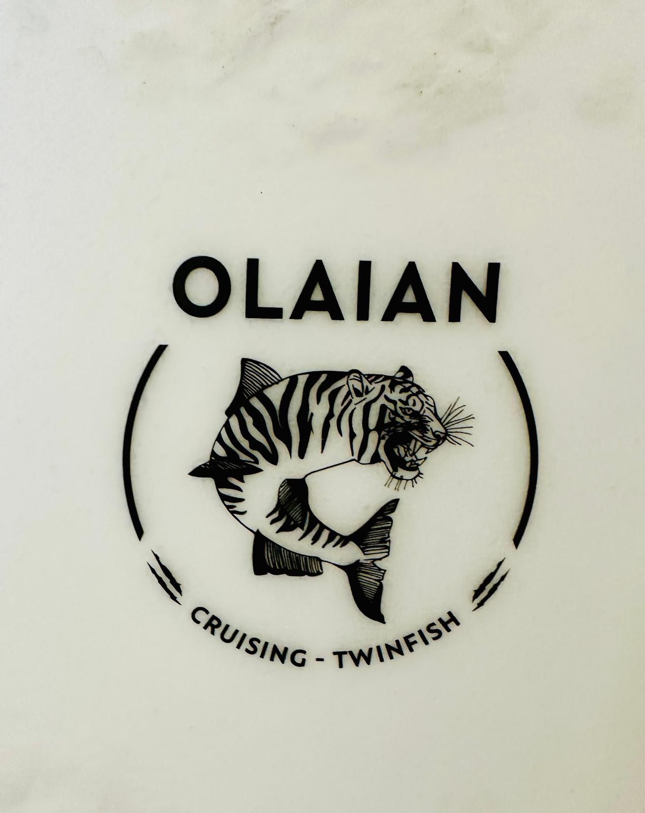 Olaian Twinfin Surfboard
