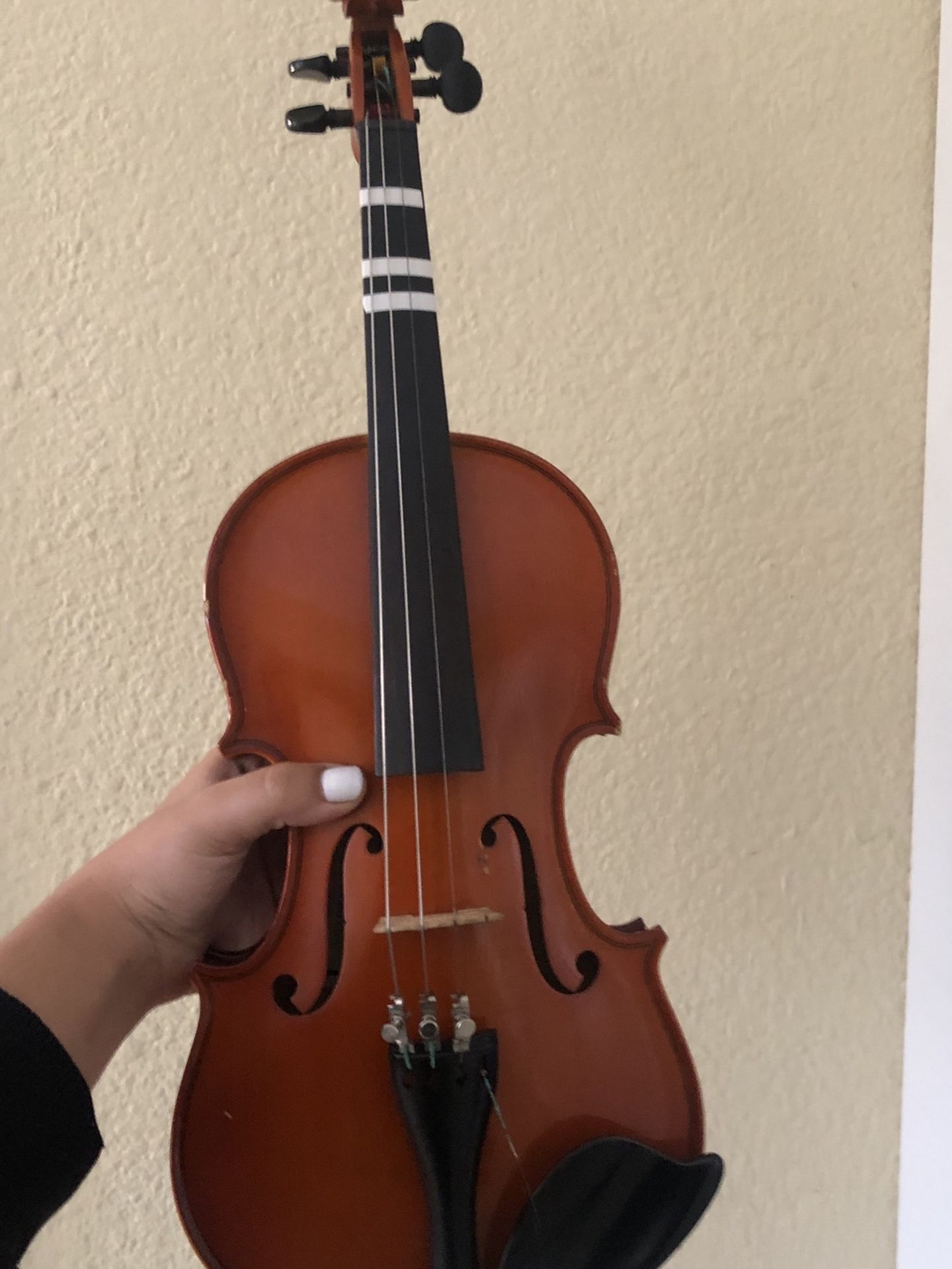 Violin