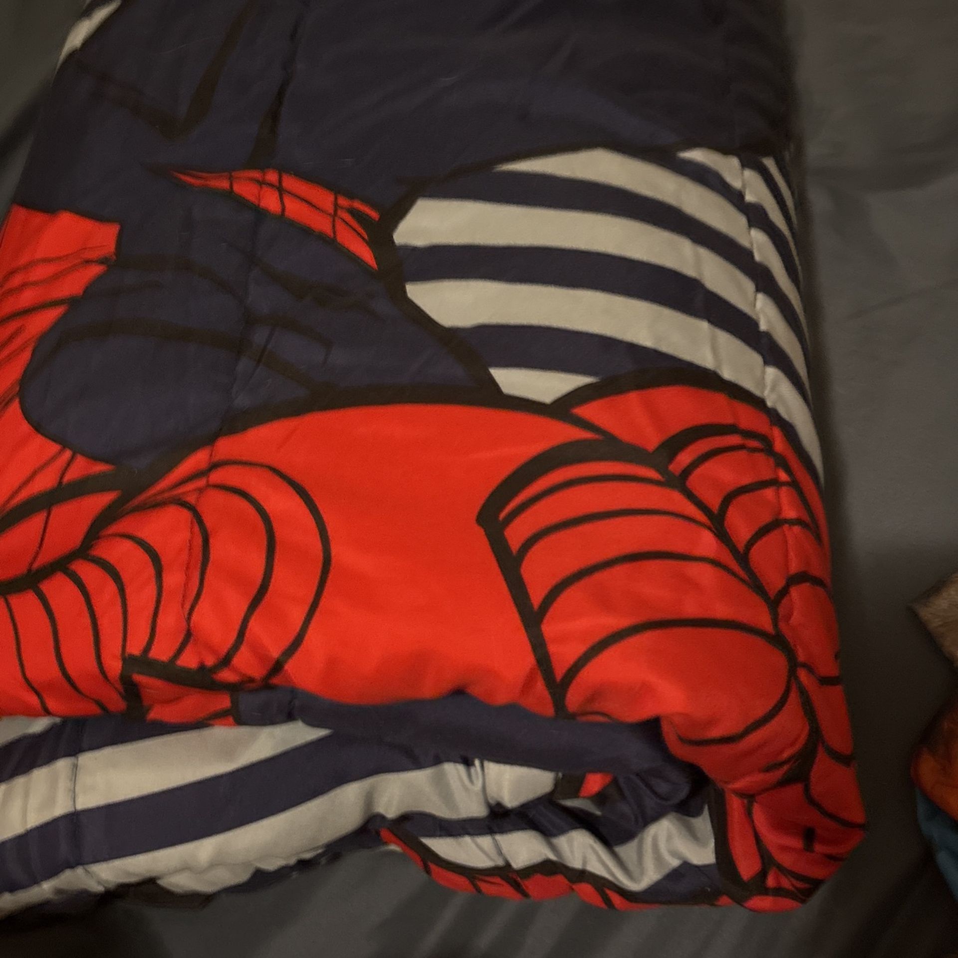 Twin Size Spiderman Sheet