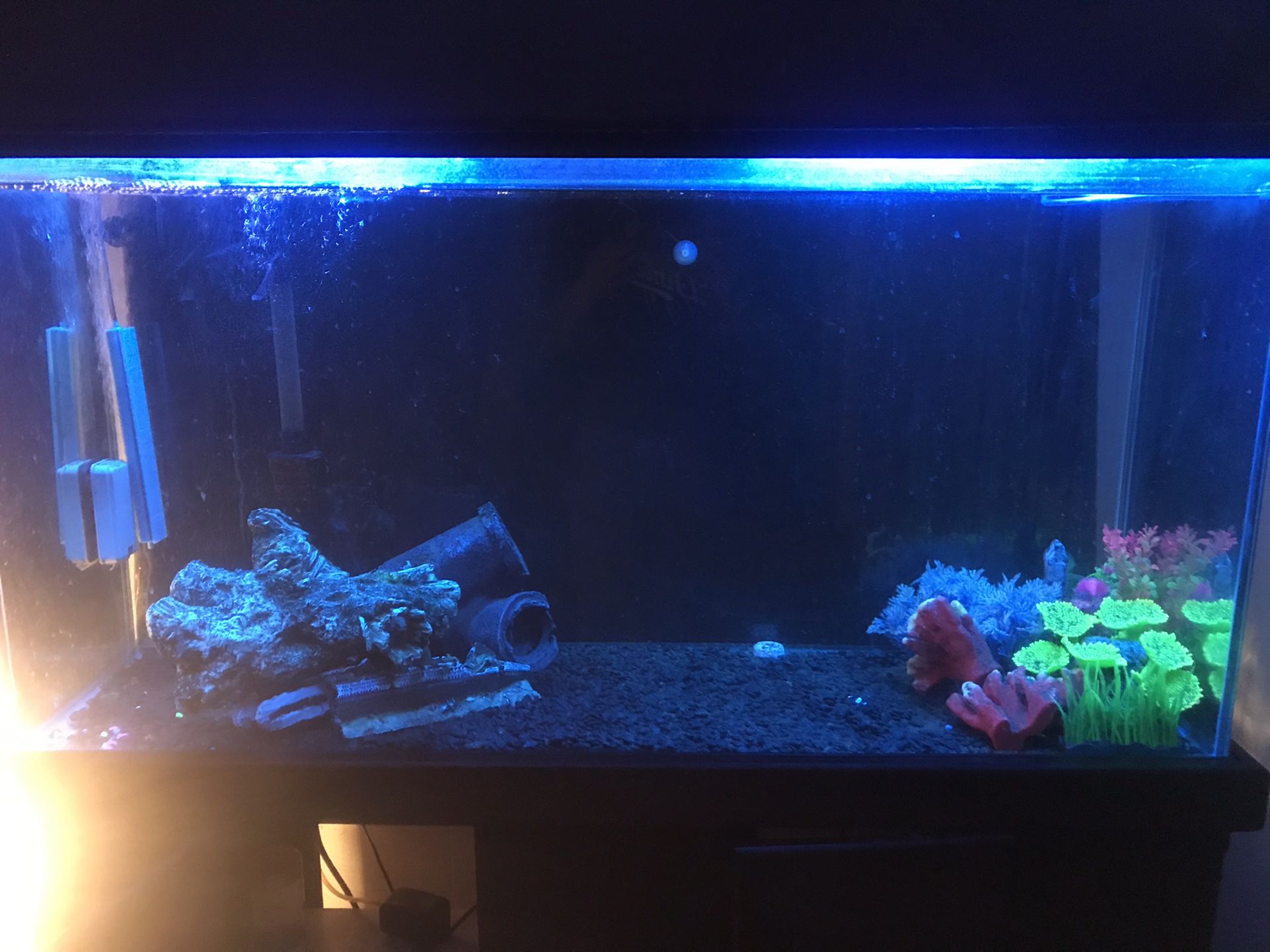 75 Gallon Tank 2 Large Filters And Air Bubbles Stand Also