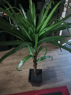 Artificial Palm Tree