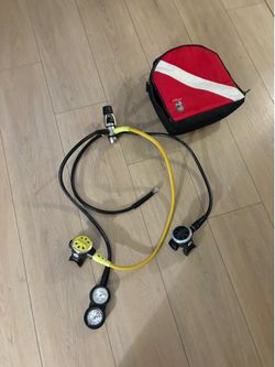 Scuba dive regulator system