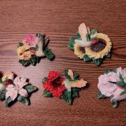 7 Hummingbird 🕊️Magnets