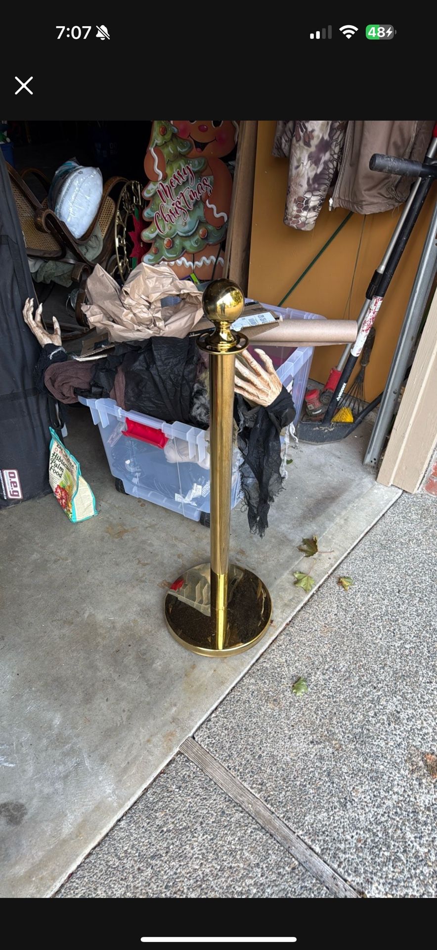 Free VIP POLE