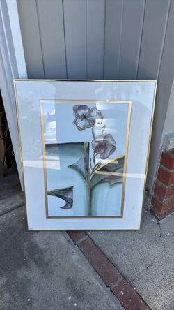 Framed Botanical Floral Art Print
