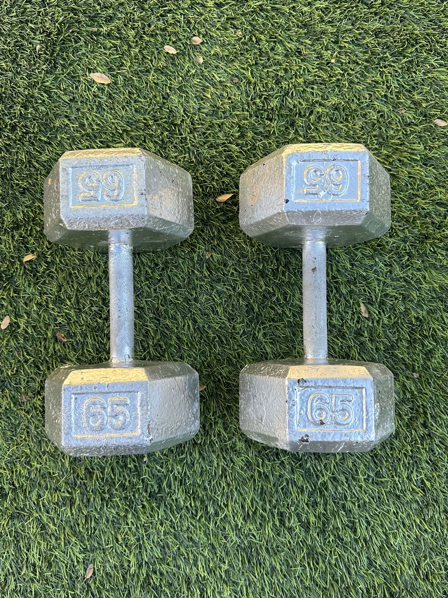 65 Lb Dumbell Weights Set