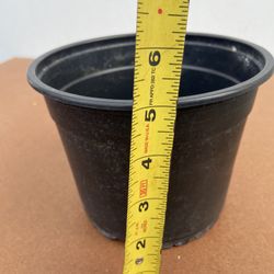 Used Nursery Pots
