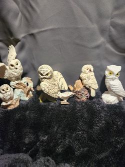 Owls