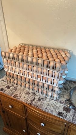 7 dozens (84) 🥚 for 18$