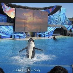 SeaWorld Orland Tickets!!!!!