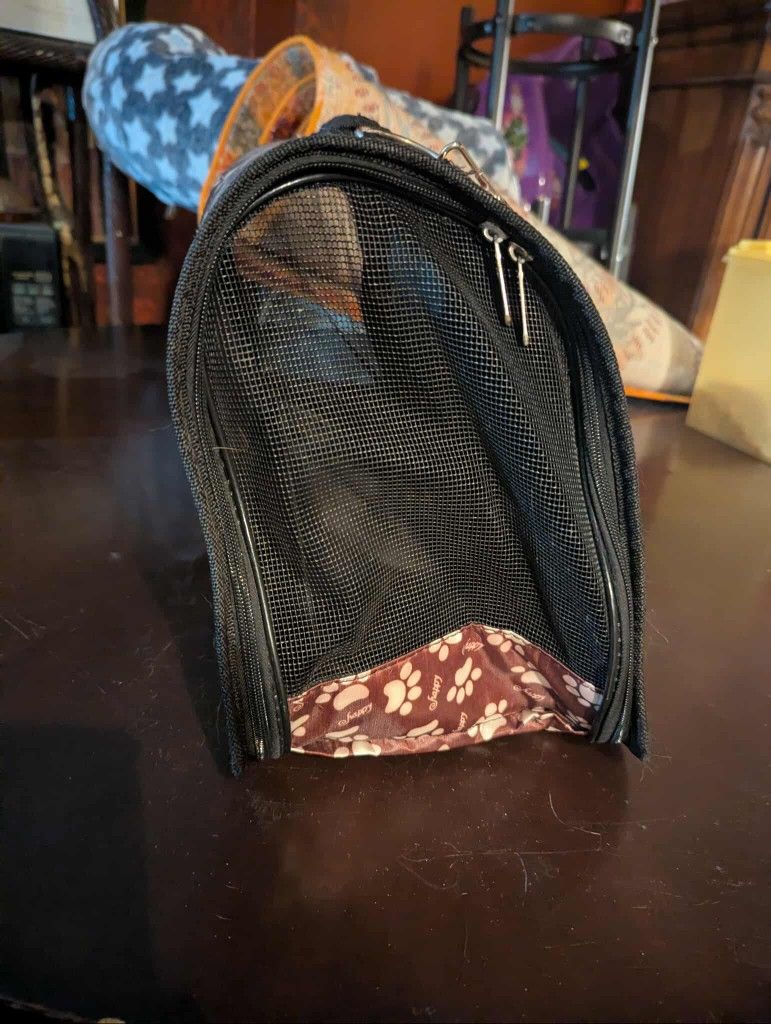 Pet Carrier Purse