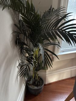 Artificial palm plant in pot - about 4 ft