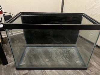20 fish gallon tank