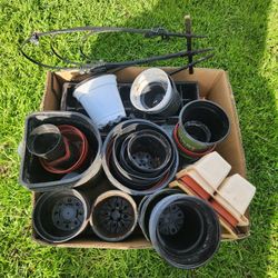 Lot of Plastic Pots