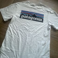 (2) Men’s Mens Patagonia Logo T-shirt