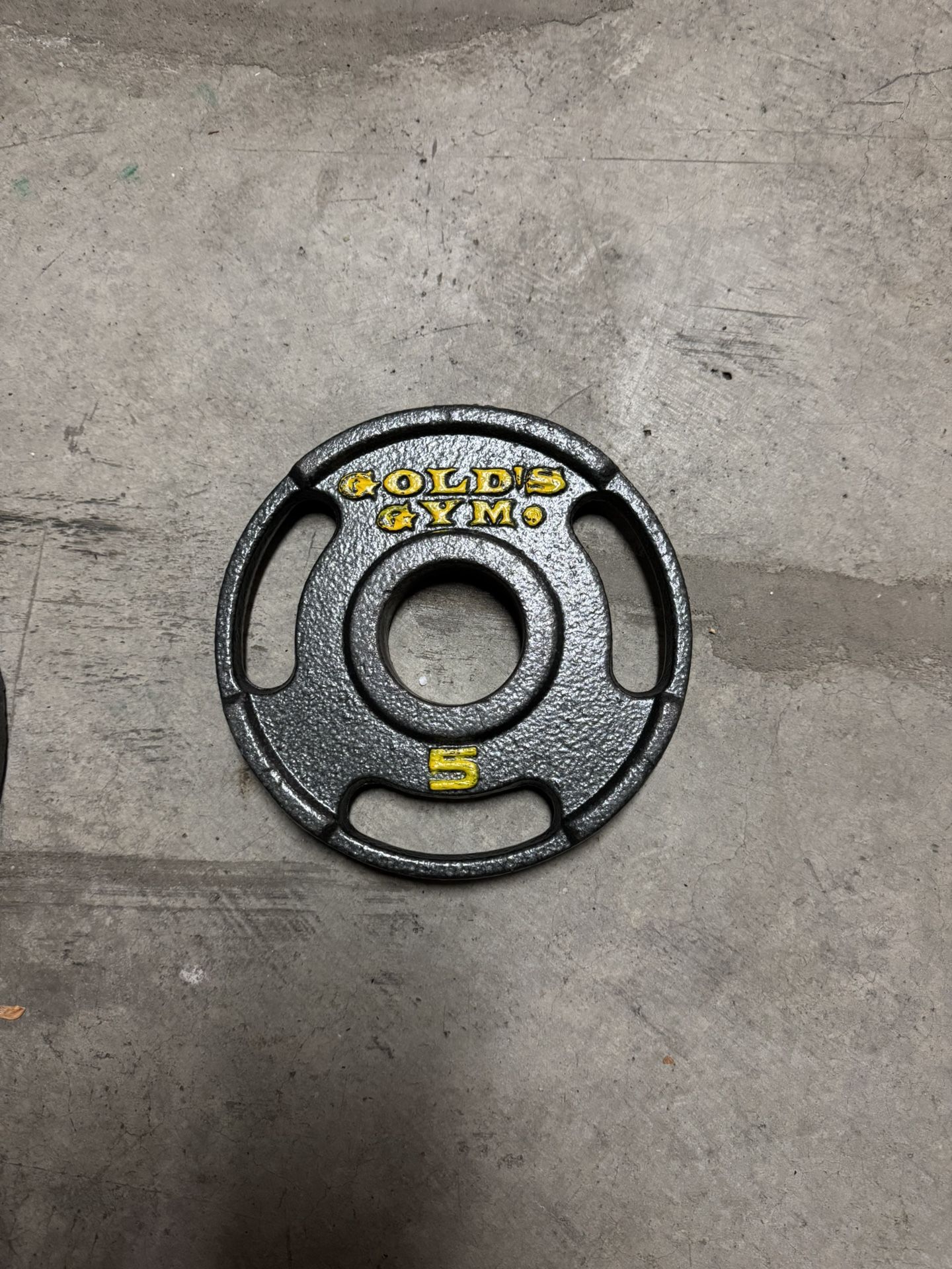 Gold’s Gym Metal Weight Plates
