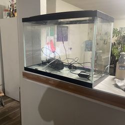 20 Gallon Fish Tank