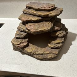 Bearded dragon basking rock with cave