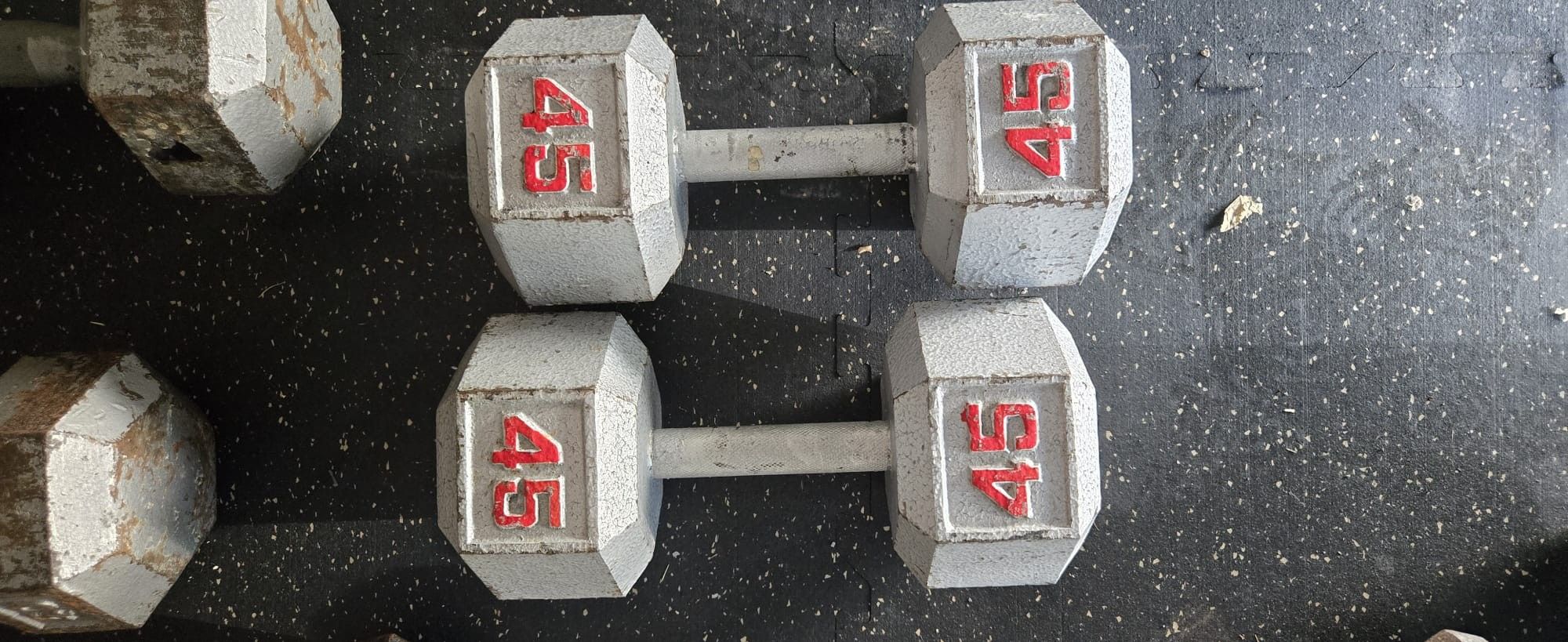 45 Lb Dumbbells