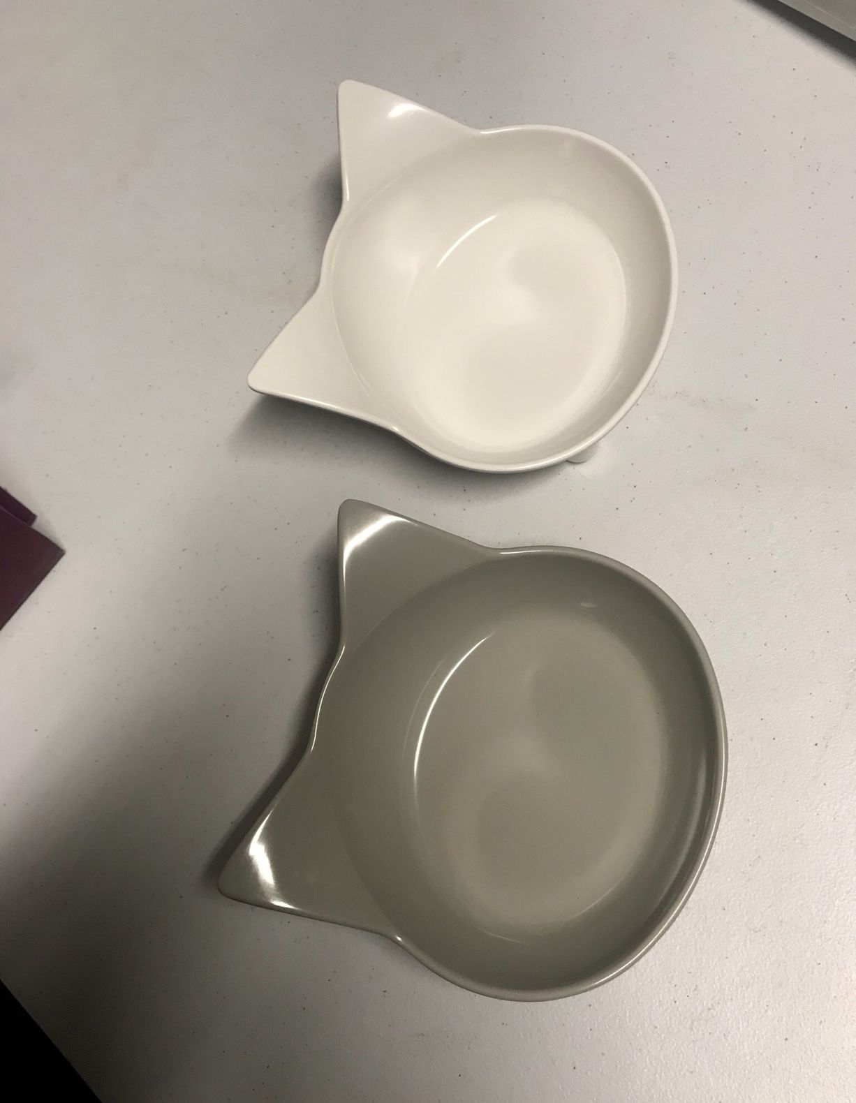 2 Cat Bowl’s  