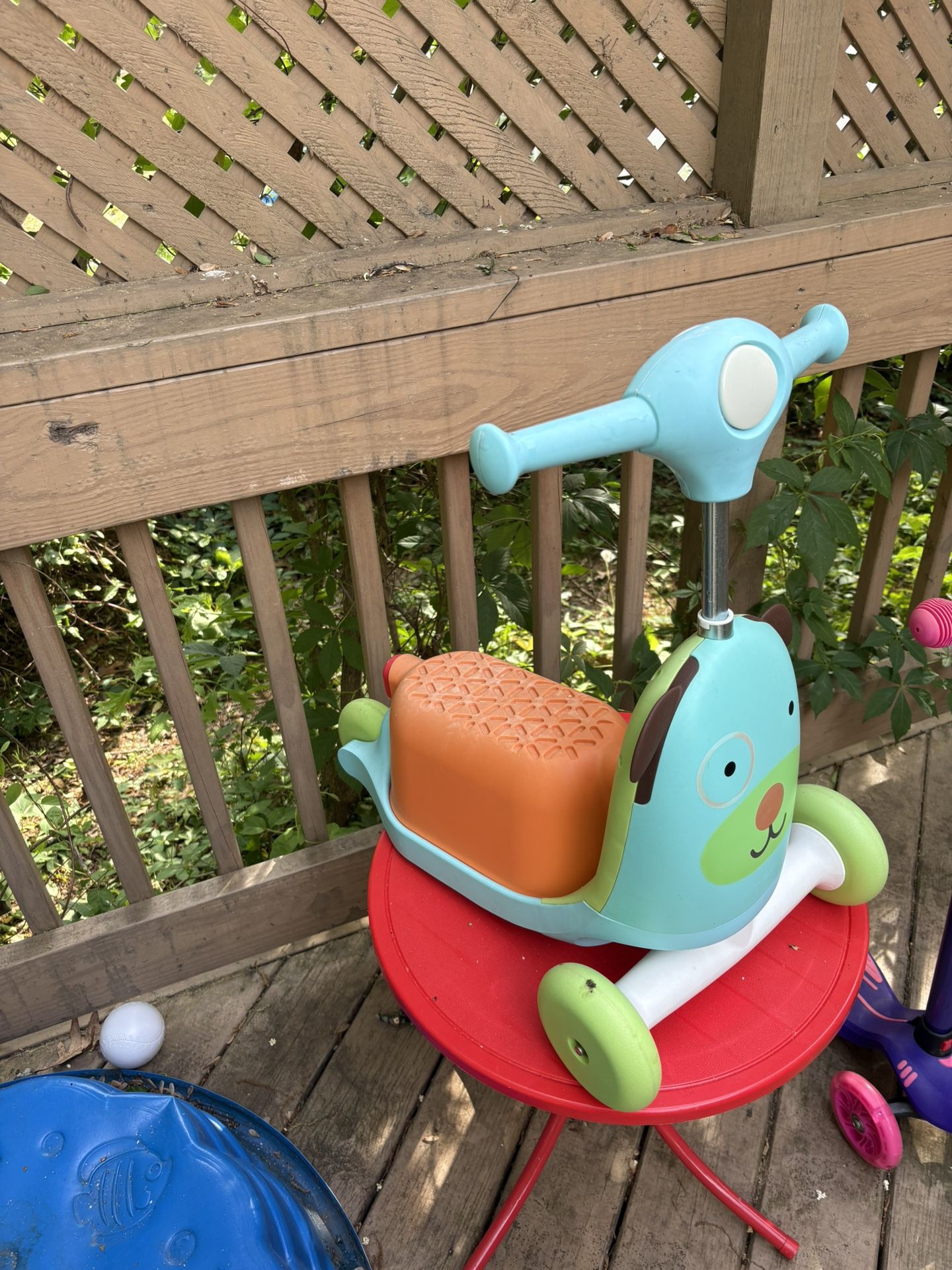 Skip Hop Convertible Scooter