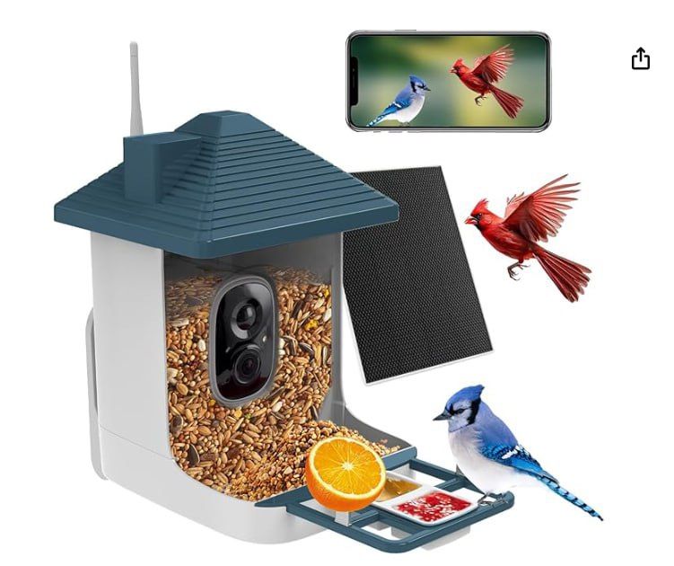 Smart Bird Feeder with Camera and Solar Powered