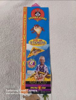 Vintage Looney tunes Tasmanian Devil activity kite with stickers