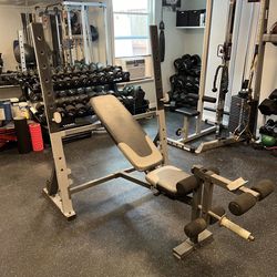 Heavy Duty Adjustable Multi Purpose Weight Bench and Squat Rack