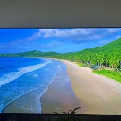 75 in Vizio Smart Tv