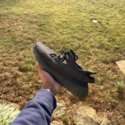Yeezy 350 