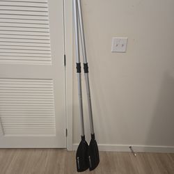 Tobin Sports kayak / boat paddles