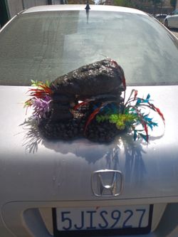 Fish Tank Decorations
