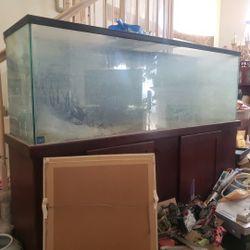 100 Gallion Fish Tank