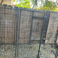 Dog Kennel