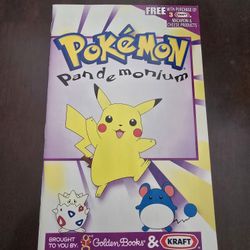 Vintage Pokemon Kraft Coloring Book
