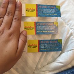 Nickelodeon Universal Mystery Ticket