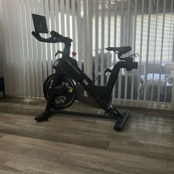 Pro-form workout bike