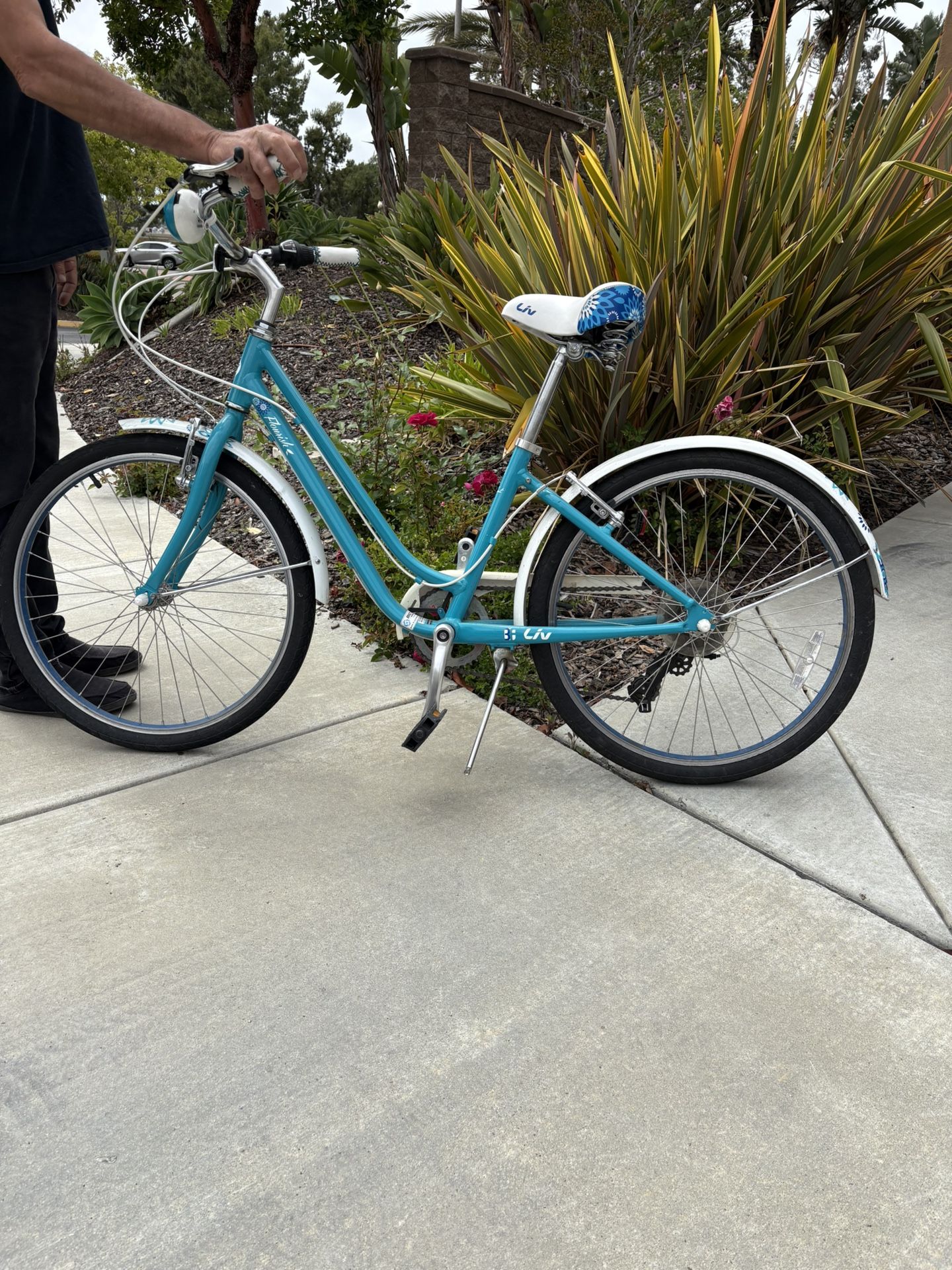 Giant Liv Flourish Beach Cruiser With Gears