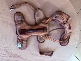Dog harness for mid size small dog