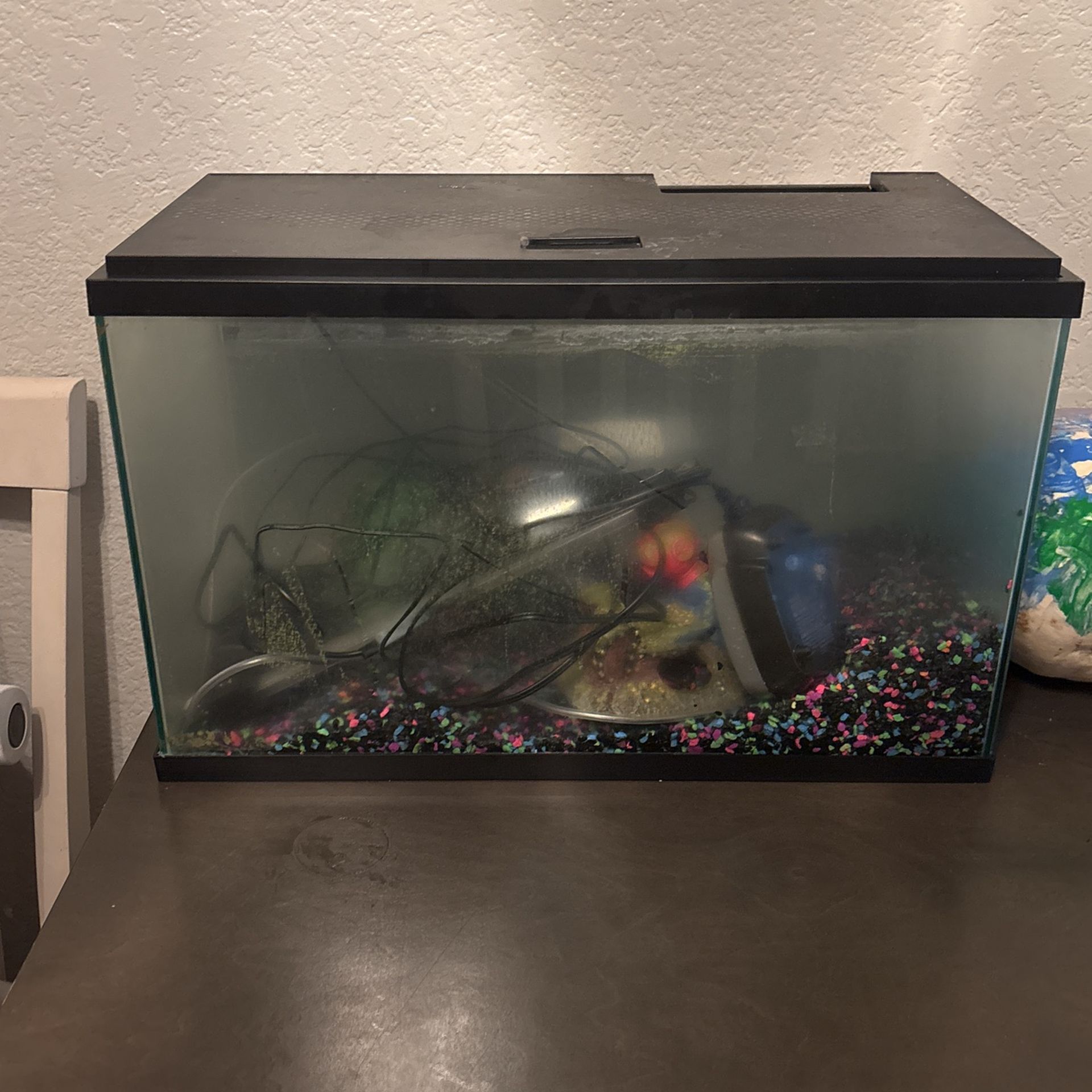 10 Gallon Fish tank