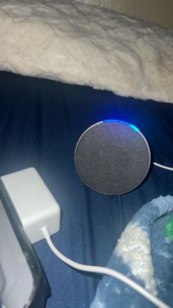 amazon echo pop