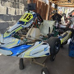 Swissauto 250 Racing Tony Kart !!   250cc 4stroke